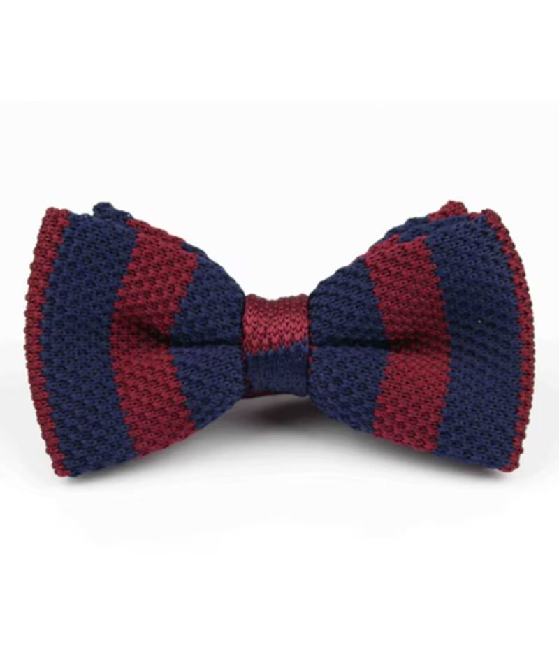TRS - Noeud Papillon Bordeaux/Marine